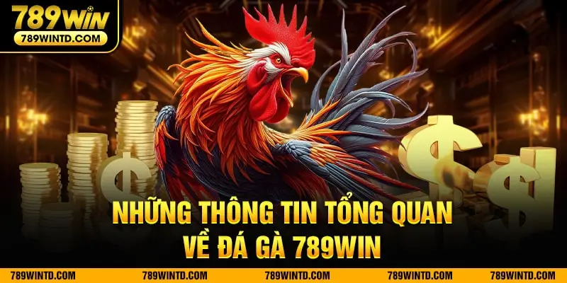 Những thông tin tổng quan về đá gà 789Win